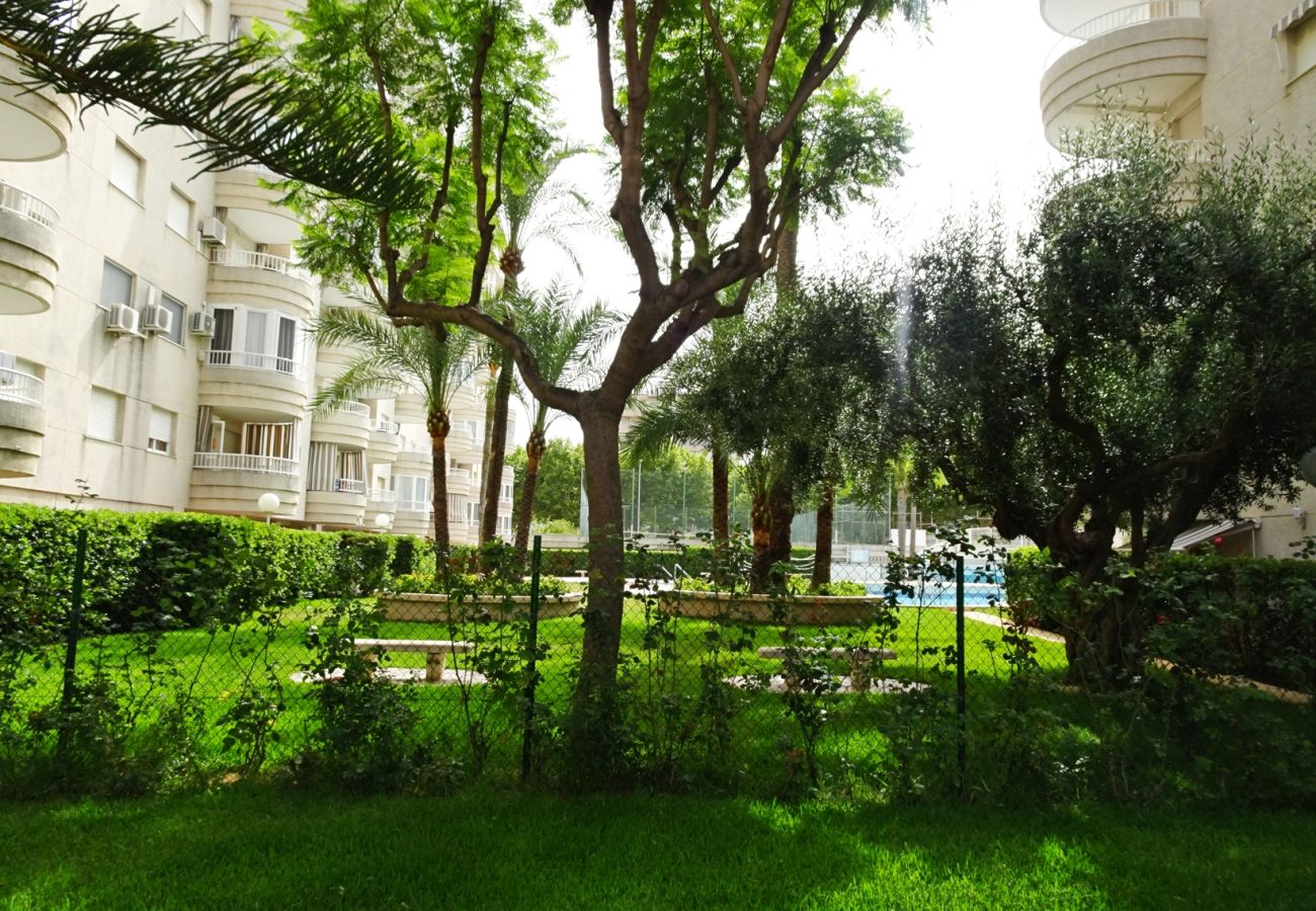 Apartamento en Gandia - TROPICANA PARK 18 - 5º - 28ª