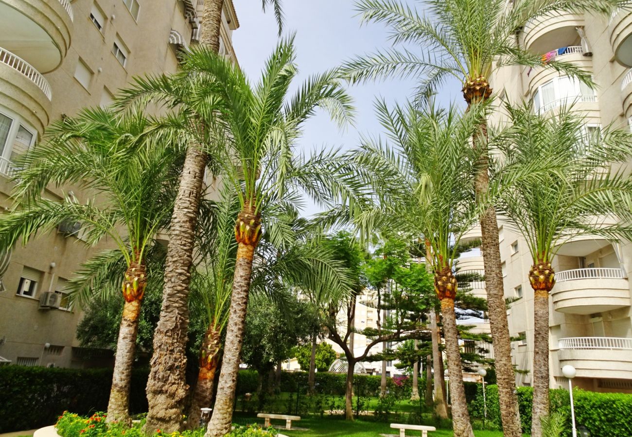 Apartamento en Gandia - TROPICANA PARK 18 - 5º - 28ª