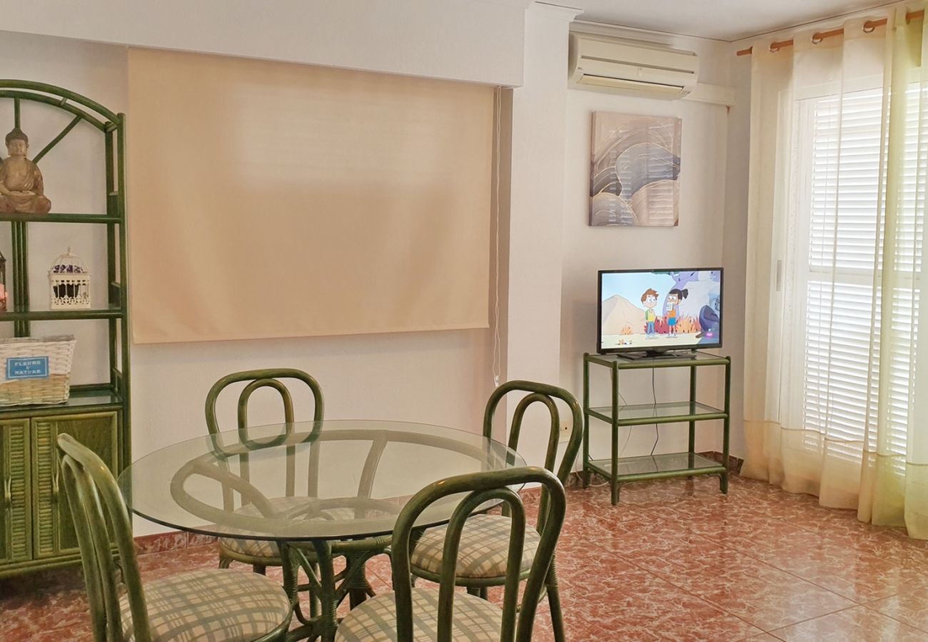 Apartamento en Gandia - TROPICANA PARK 4ª - 9º - 42ª