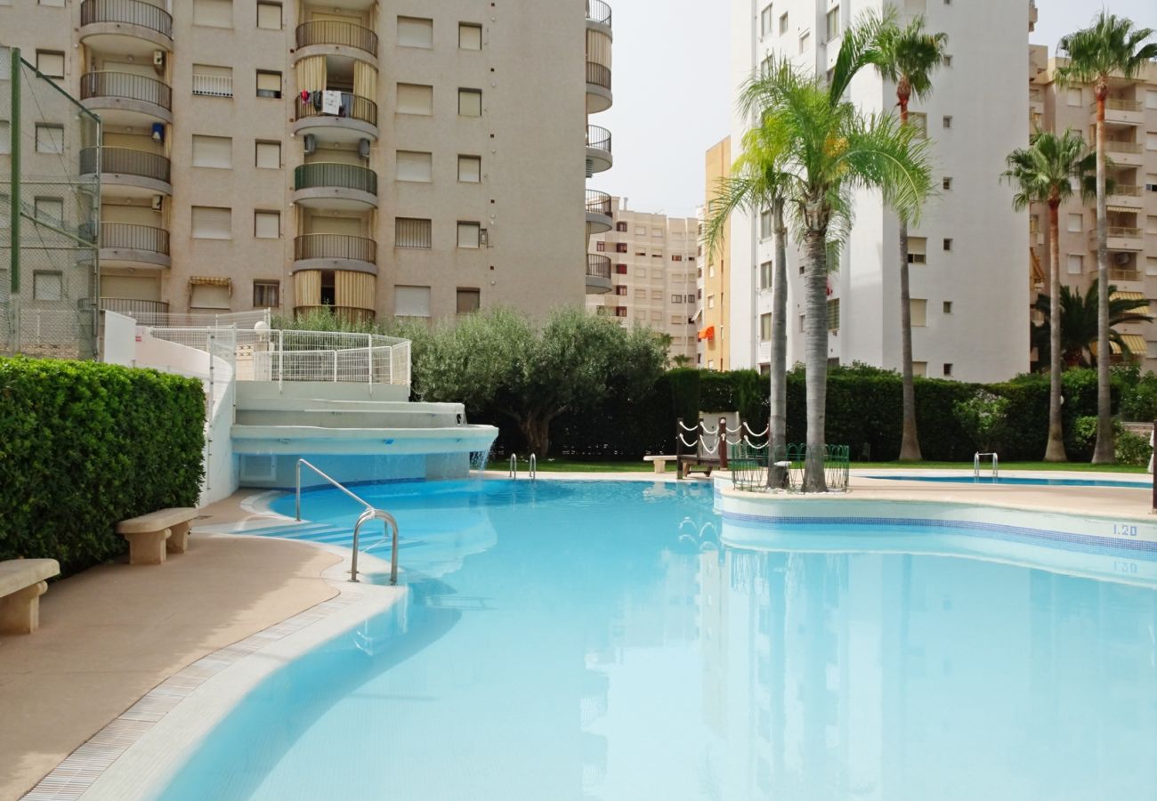 Apartamento en Gandia - TROPICANA PARK 4ª - 9º - 42ª