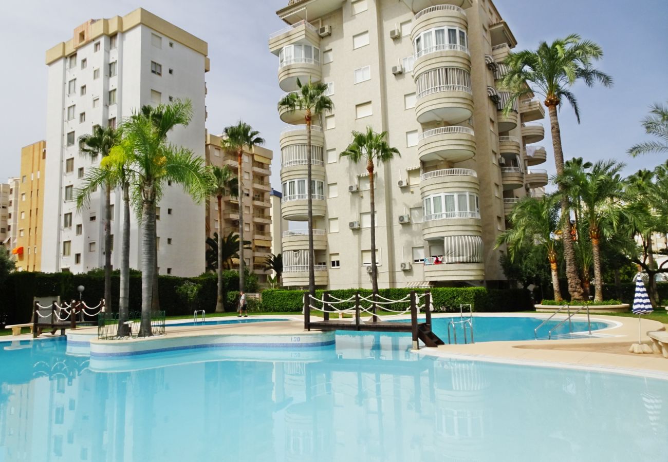 Apartamento en Gandia - TROPICANA PARK 4ª - 9º - 42ª