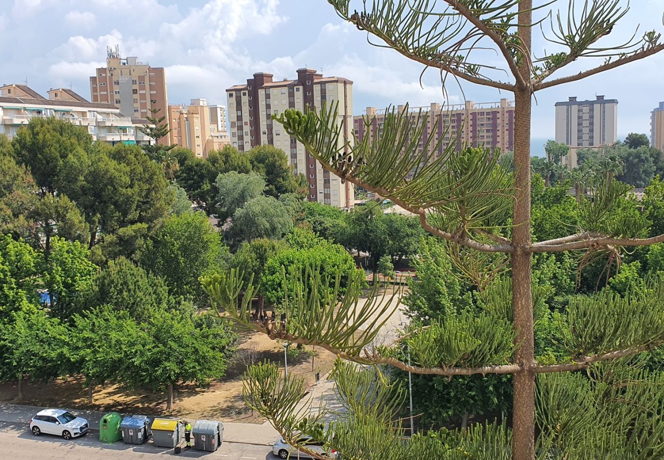 Apartamento en Gandia - SOROLLA A - 6º - 26ª