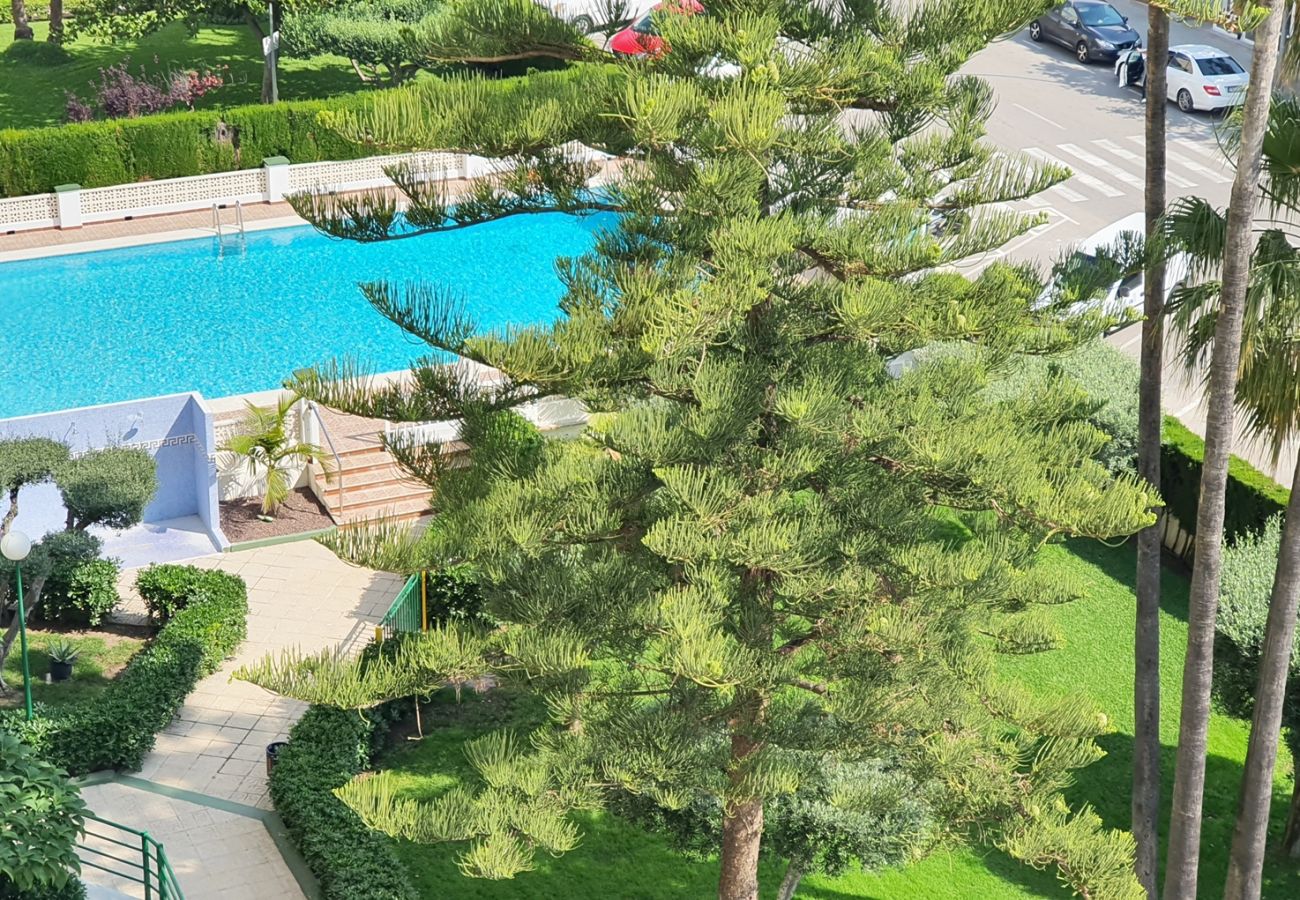 Apartamento en Gandia - SOROLLA A - 6º - 26ª