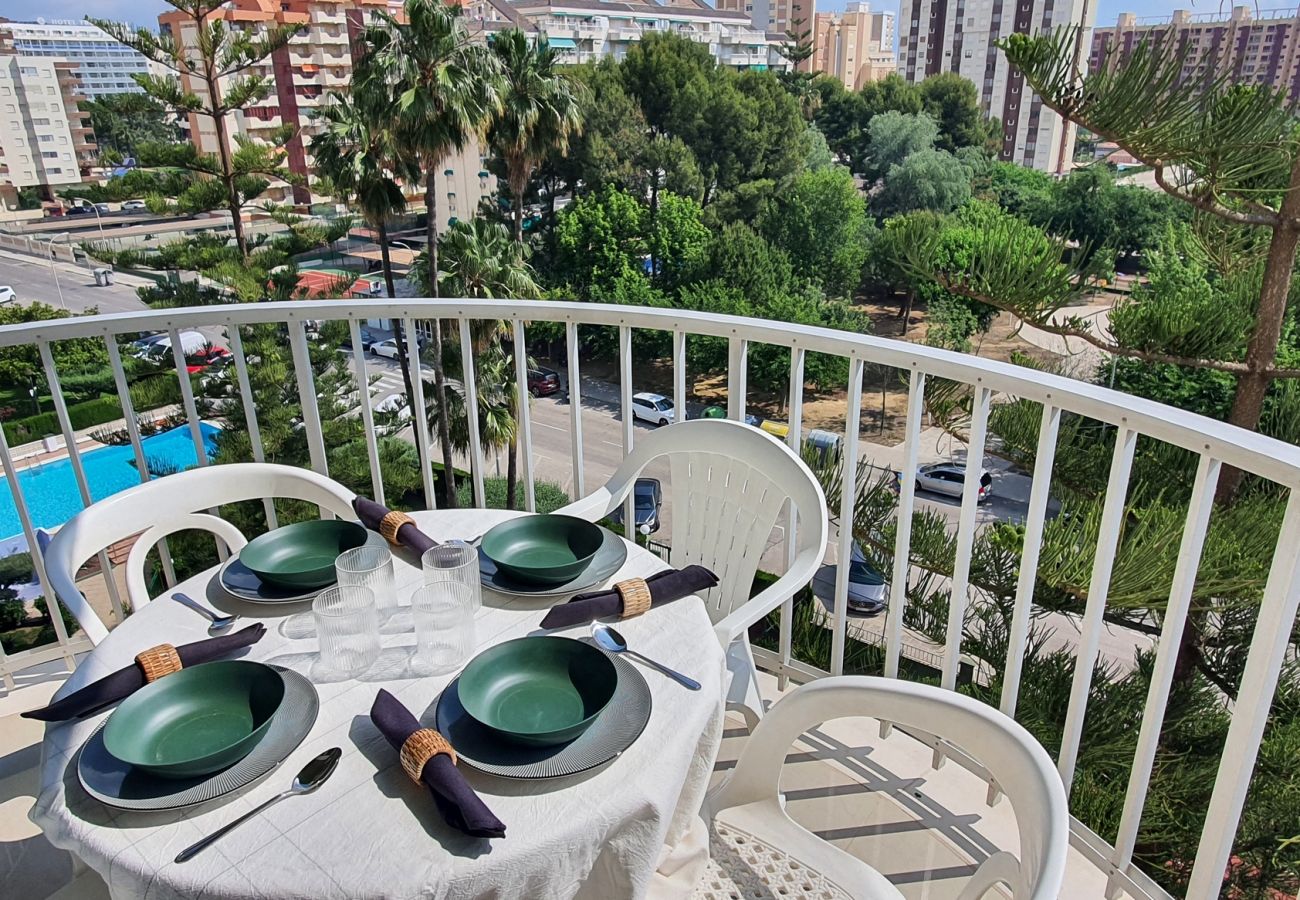 Apartamento en Gandia - SOROLLA A - 6º - 26ª