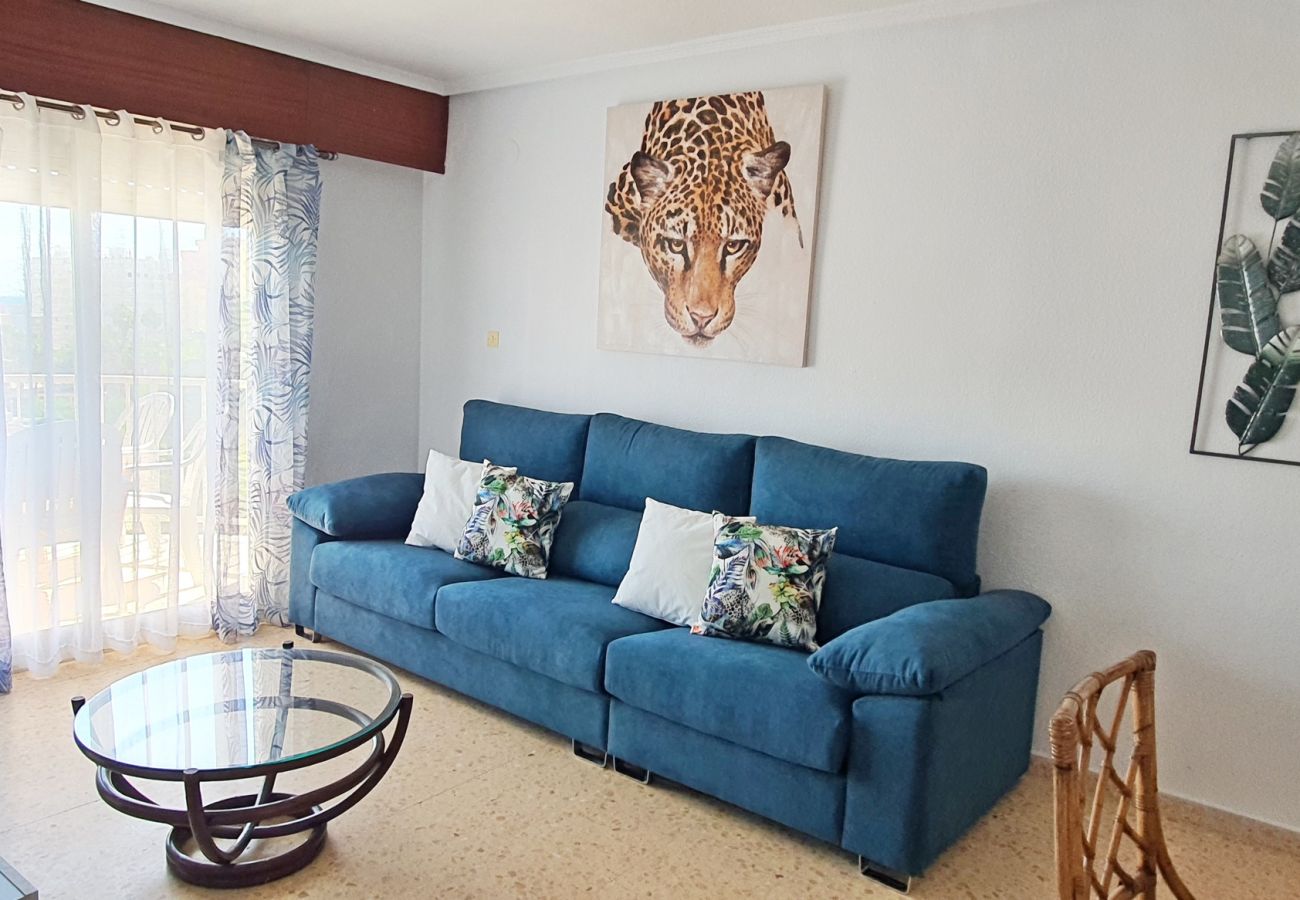Apartamento en Gandia - SOROLLA B - 6º - 27ª