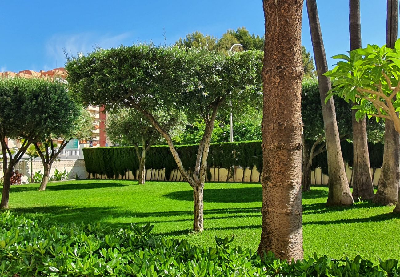 Apartamento en Gandia - SOROLLA B - 6º - 27ª