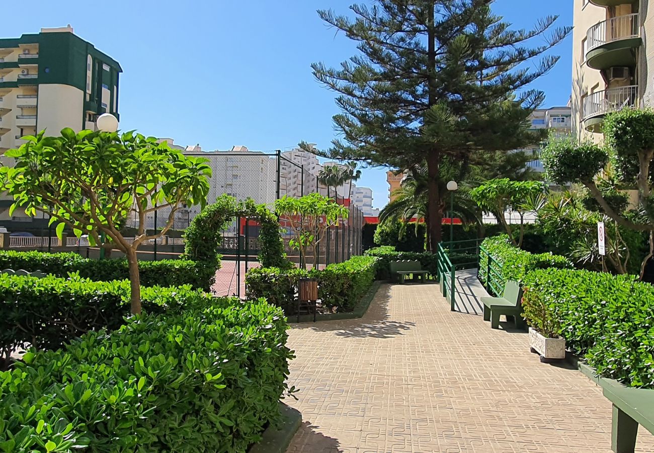 Apartamento en Gandia - SOROLLA B - 6º - 27ª