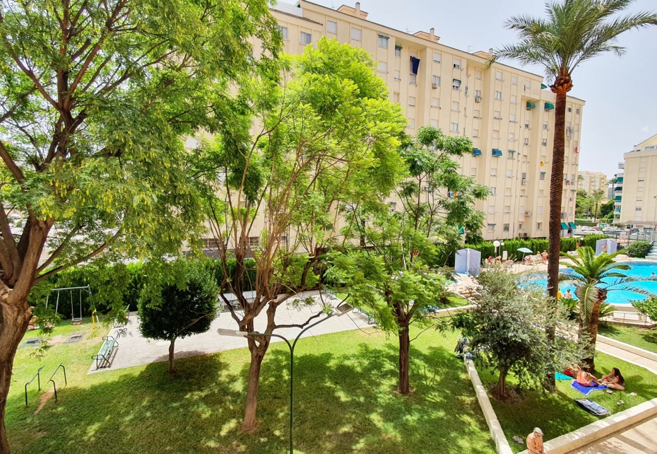 Apartamento en Gandia - ROMA VII - 1ª - 2º - 3ª