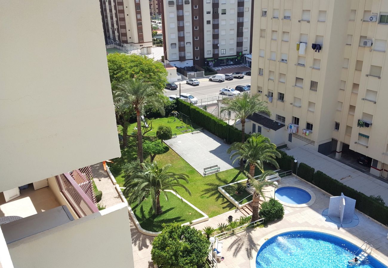 Apartamento en Gandia - ROMA VII - 1ª - 2º - 3ª