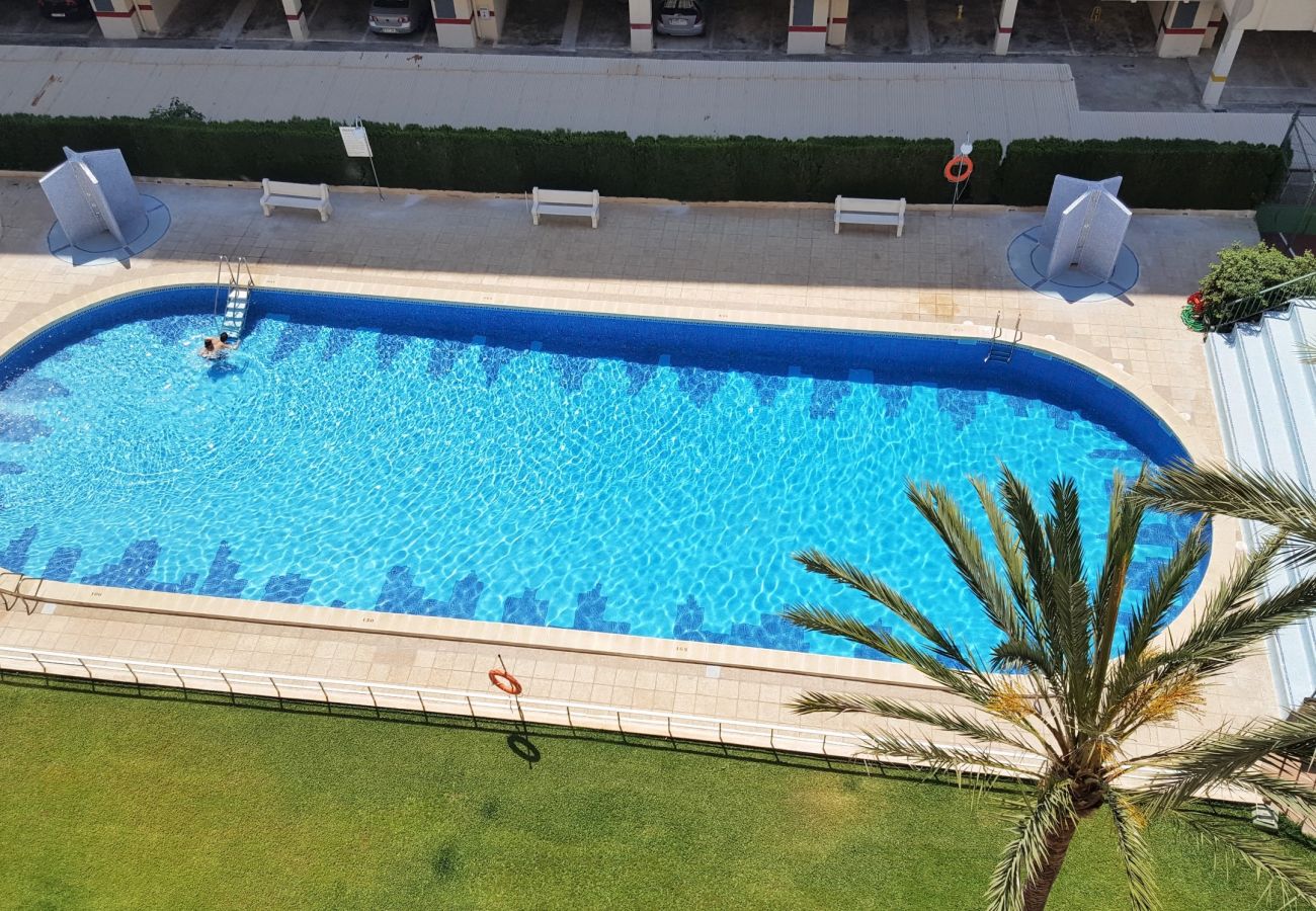 Apartamento en Gandia - ROMA VII - 1ª - 2º - 3ª