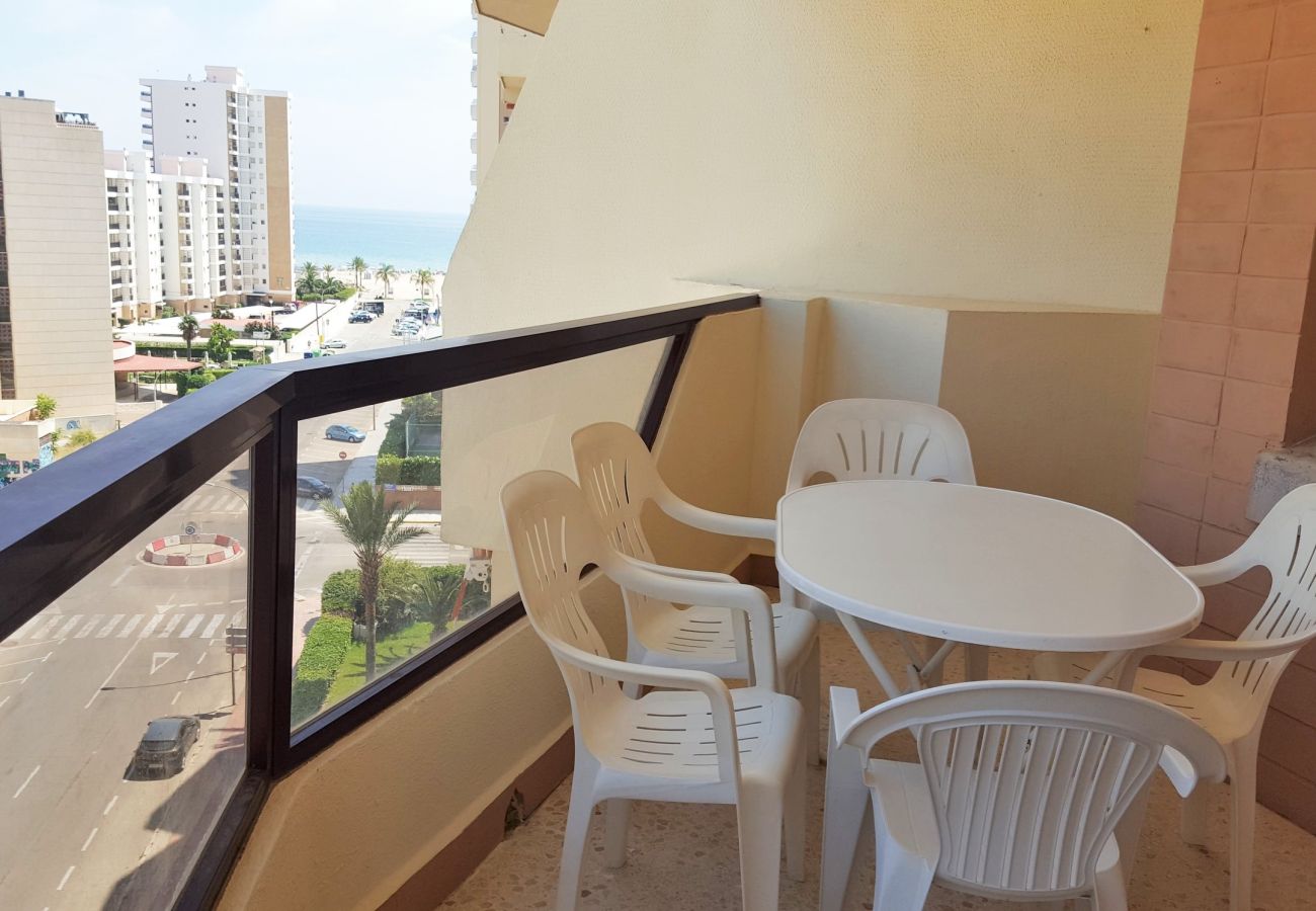 Apartamento en Gandia - ROMA VII - 5ª - 7º - 14ª
