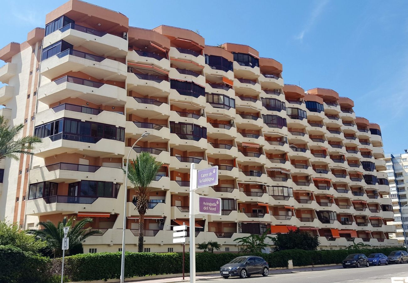 Apartamento en Gandia - ROMA VII - 5ª - 7º - 14ª