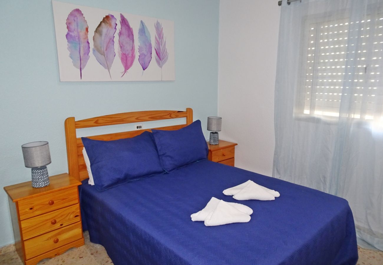 Apartamento en Gandia - ROMA VII - 5ª - 7º - 14ª