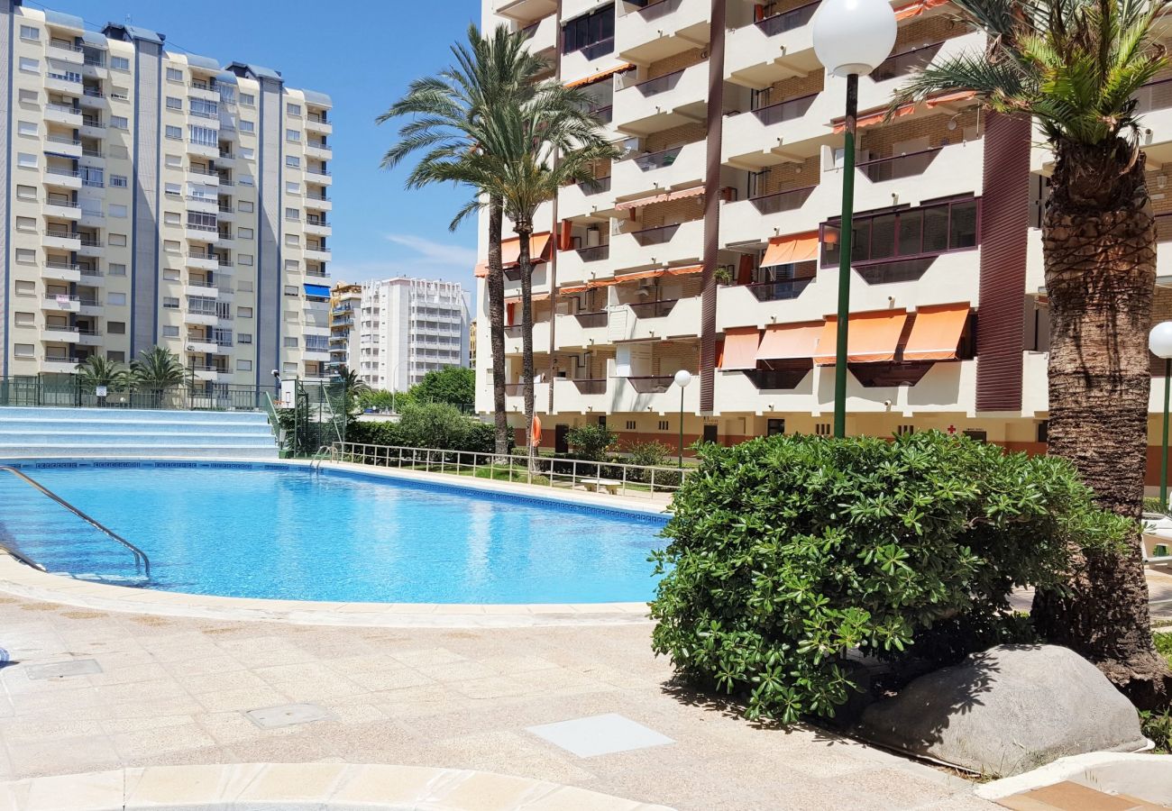 Apartamento en Gandia - ROMA VII - 5ª - 7º - 14ª