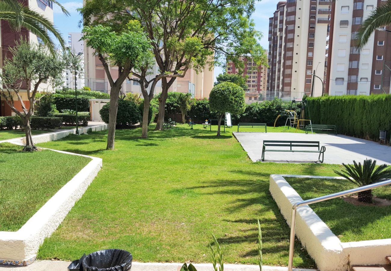 Apartamento en Gandia - ROMA VII - 5ª - 7º - 14ª