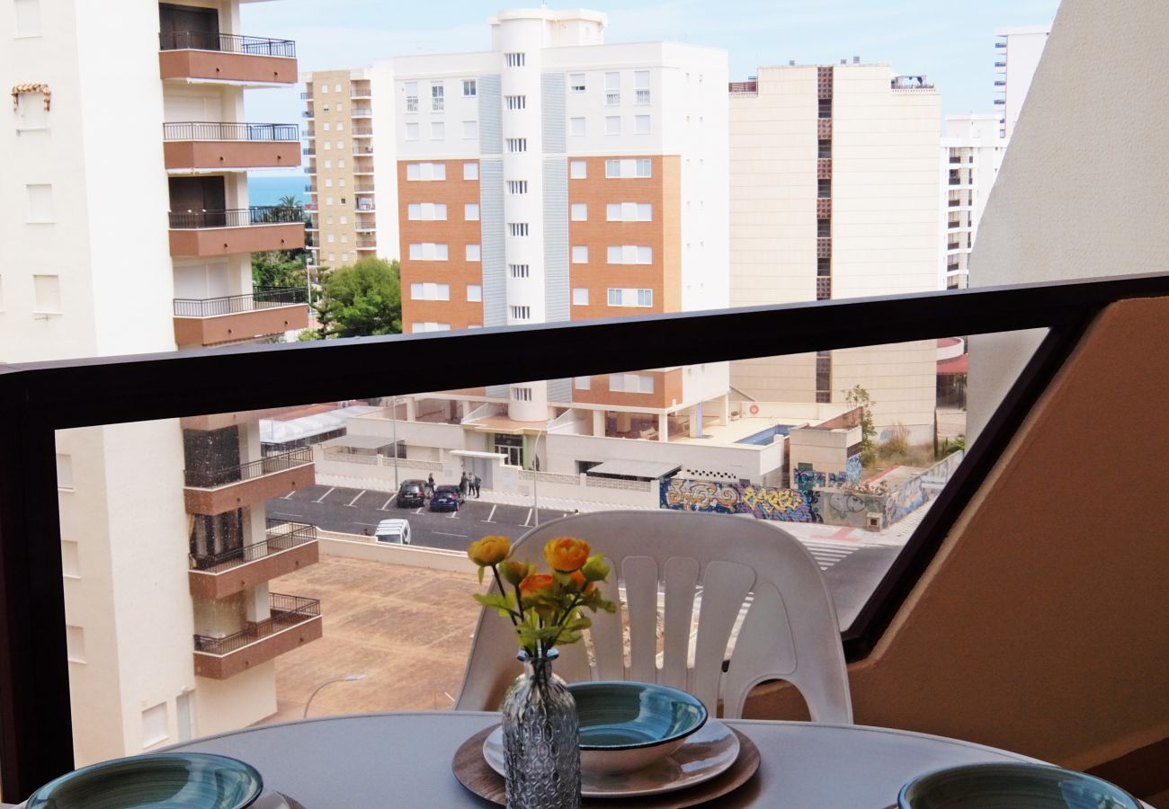 Apartamento en Gandia - ROMA VII - 5ª - 7º - 14ª