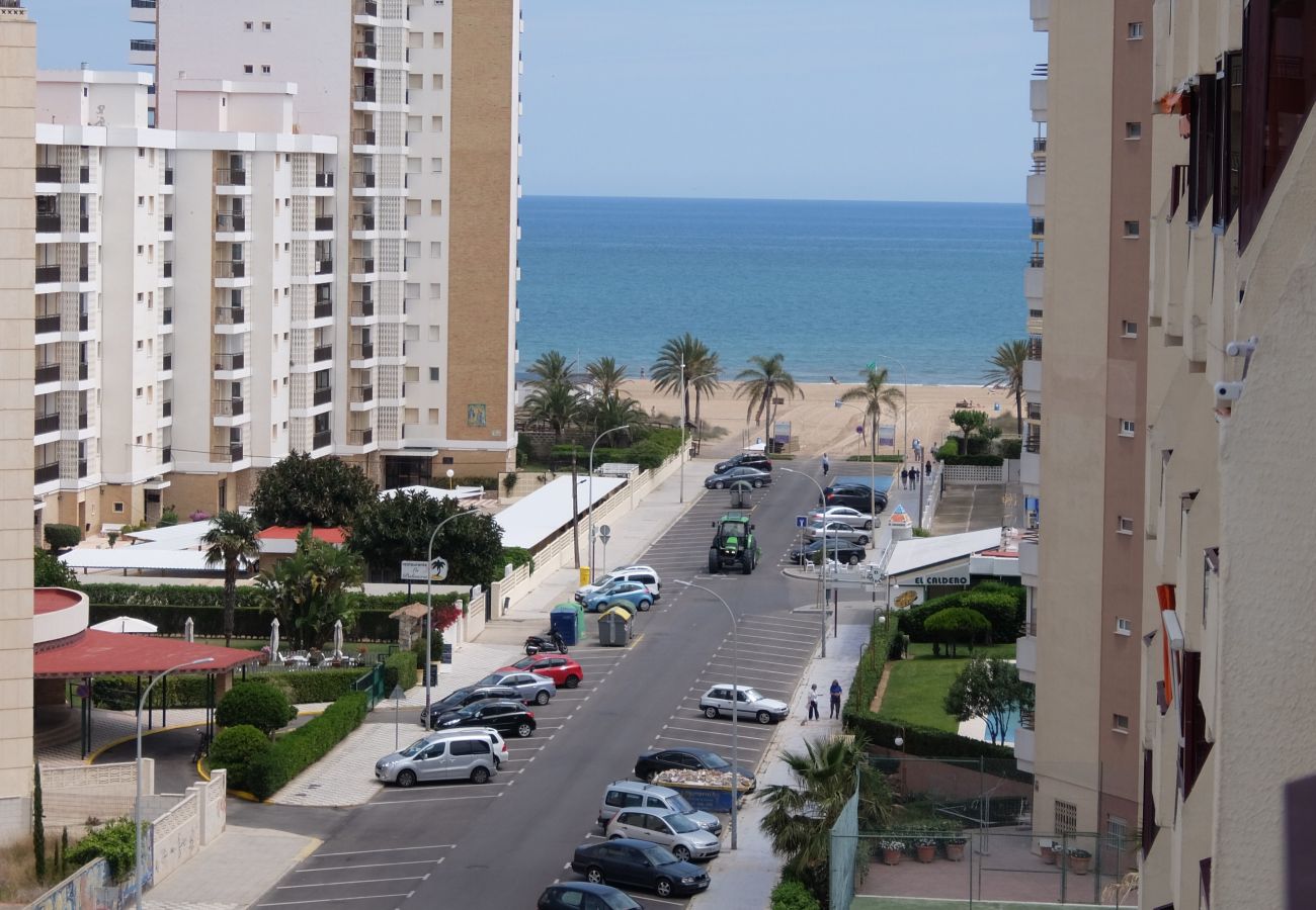 Apartamento en Gandia - ROMA VII - 5ª - 7º - 14ª