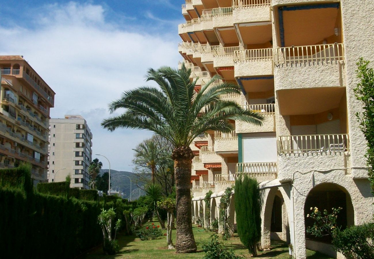 Apartamento en Gandia - ROMA XI - 2ª - 5º - 9ª