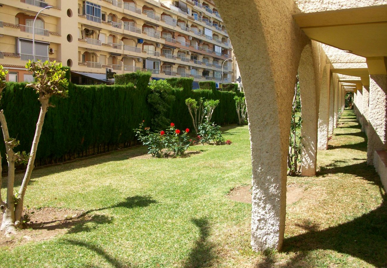 Apartamento en Gandia - ROMA XI - 2ª - 5º - 9ª