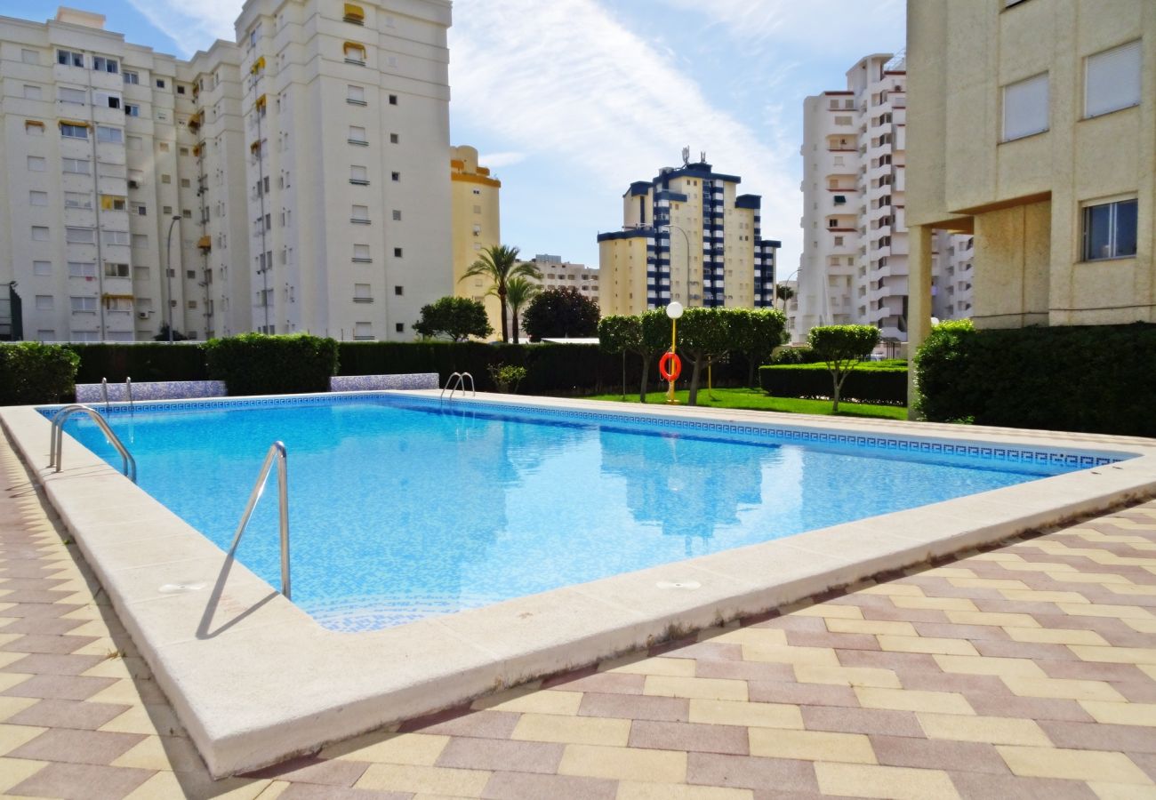 Apartamento en Gandia - ROMA XI - 2ª - 5º - 9ª