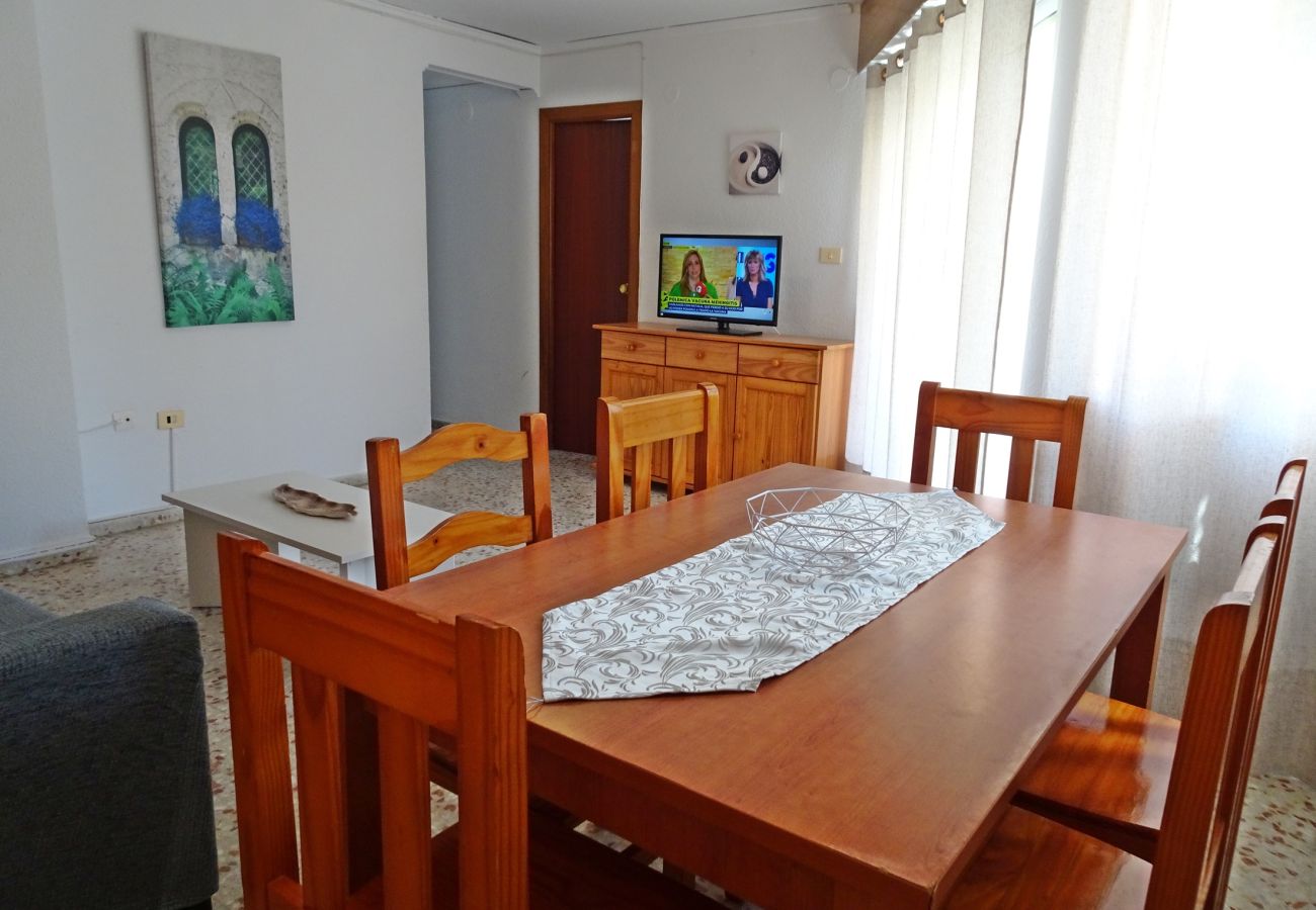 Apartamento en Gandia - ROMA XI - 2ª - 5º - 9ª