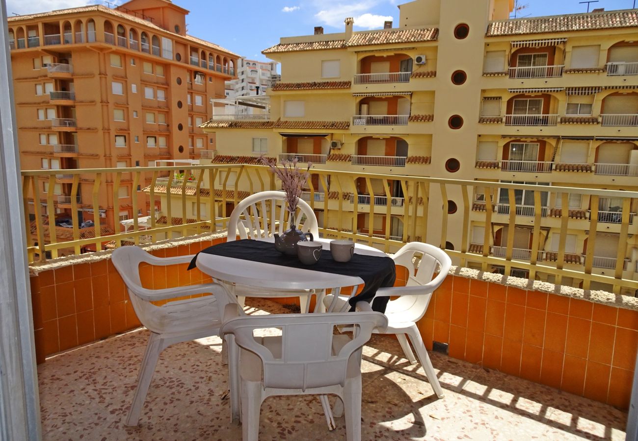 Apartamento en Gandia - ROMA XI - 2ª - 5º - 9ª