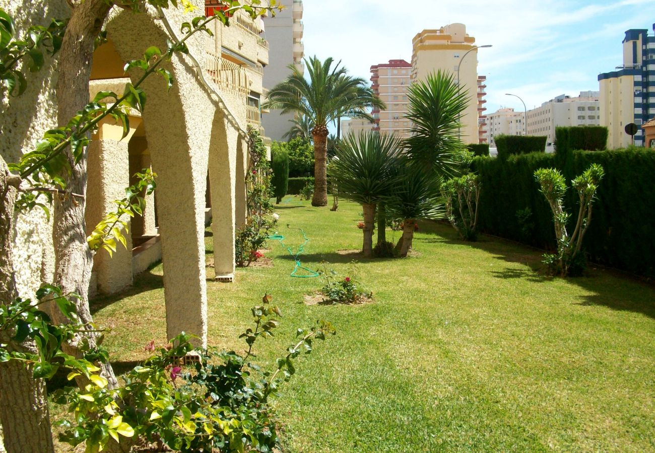 Apartamento en Gandia - ROMA XI - 2ª - 5º - 10ª