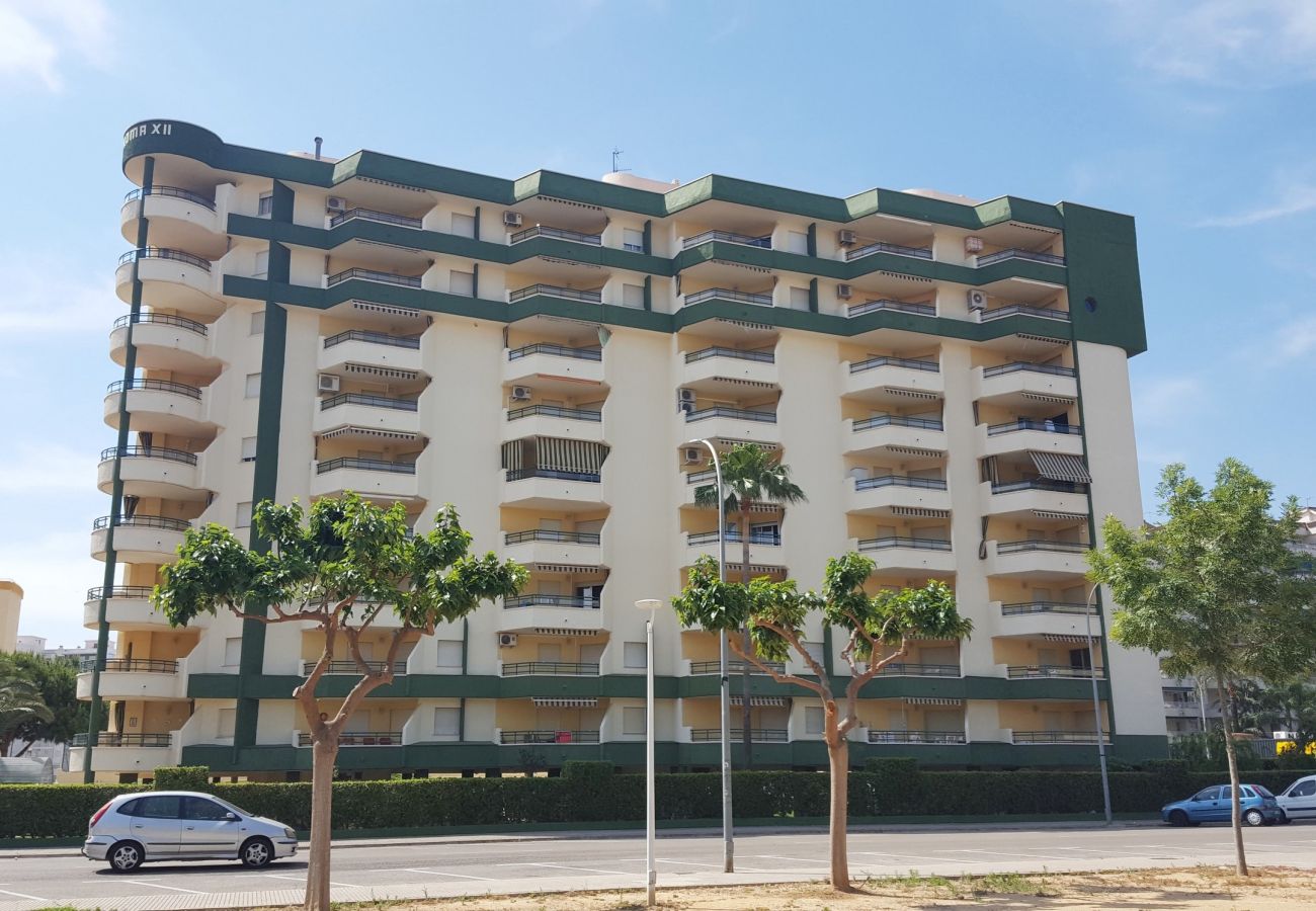 Apartamento en Gandia - ROMA XII - 3ª - 3º - 5ª