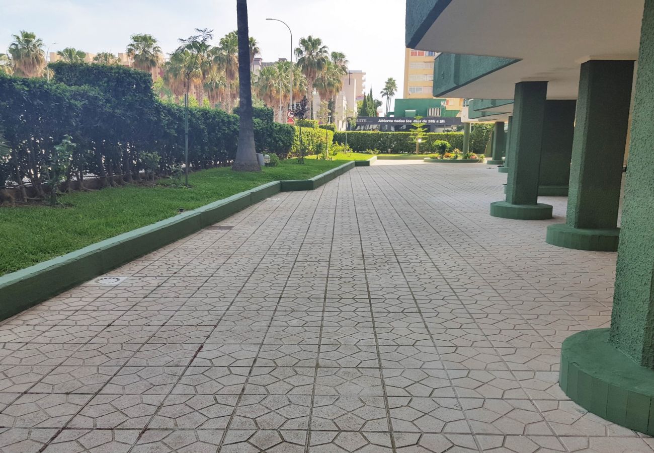 Apartamento en Gandia - ROMA XII - 3ª - 3º - 5ª