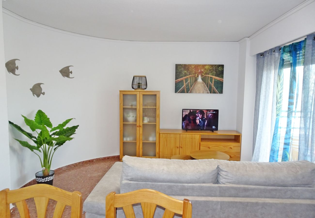 Apartamento en Gandia - ROMA XII - 3ª - 3º - 5ª