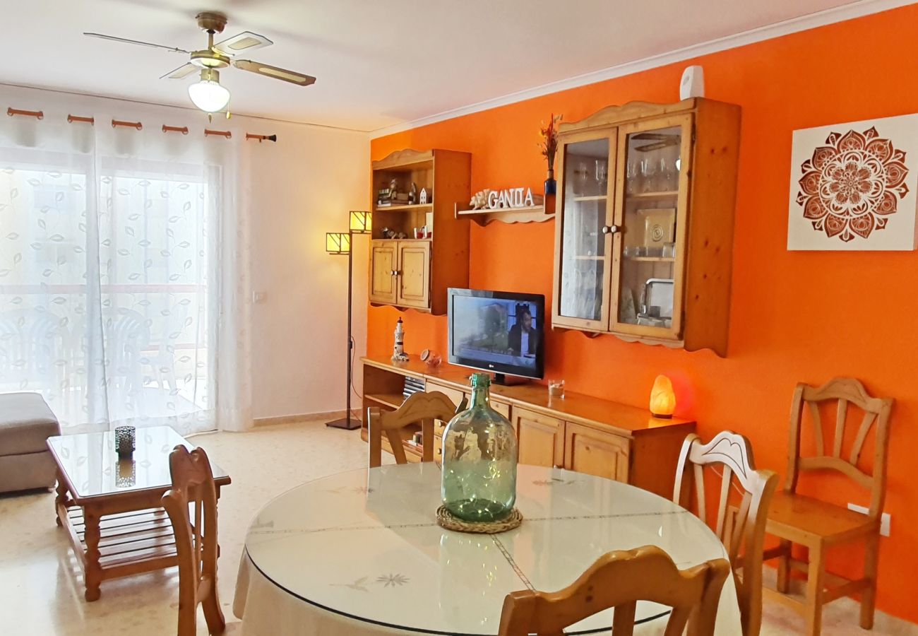 Apartamento en Gandia - SALINAS IV - 5ª - 3º - K