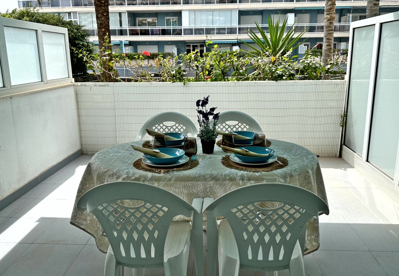 Apartamento en Gandia - ATHENEA Bl - C - 3ª - BAJO I