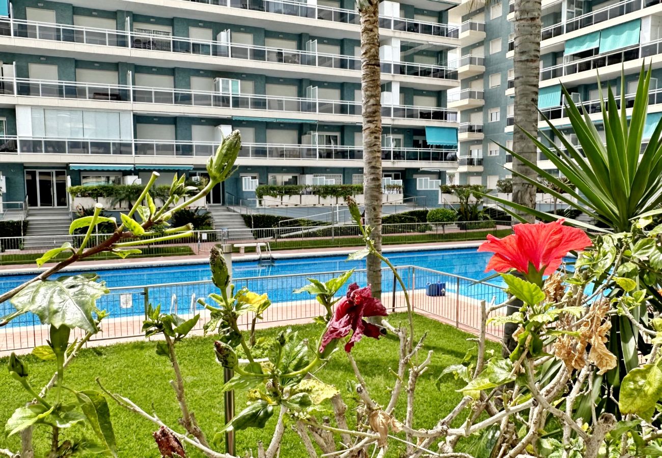 Apartamento en Gandia - ATHENEA Bl - C - 3ª - BAJO I