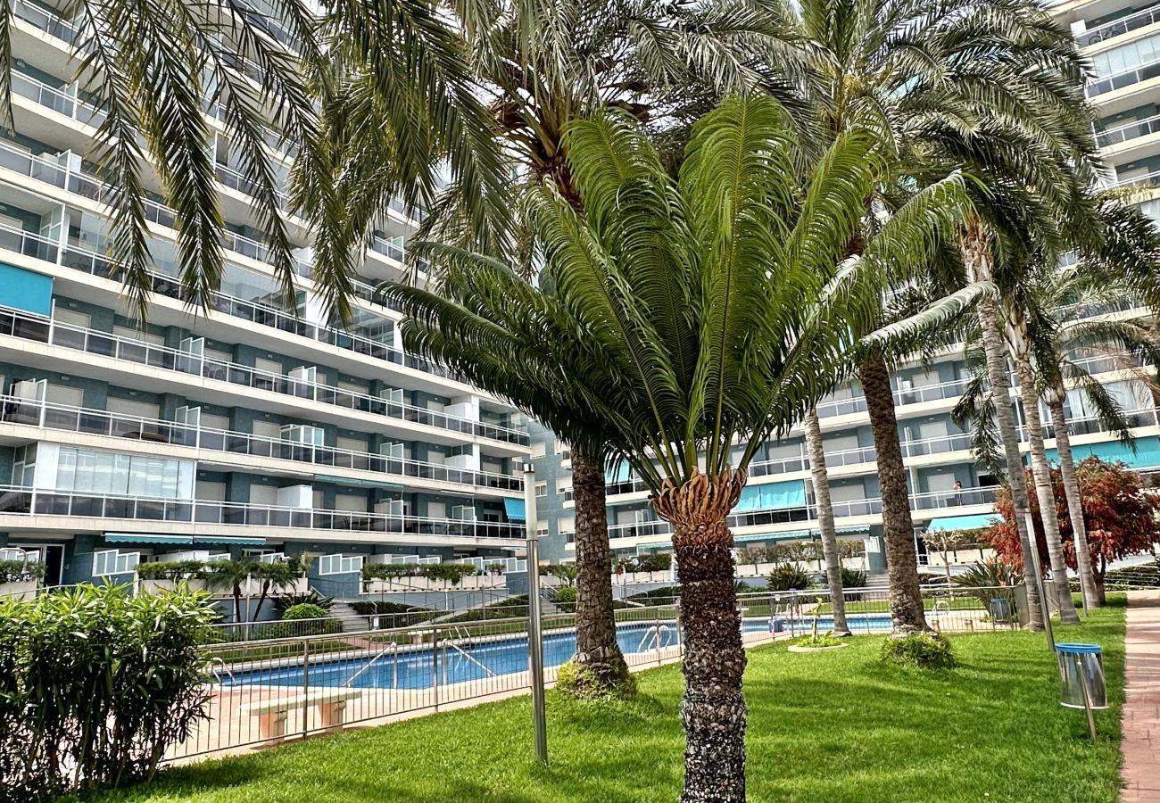 Apartamento en Gandia - ATHENEA Bl - C - 3ª - BAJO I