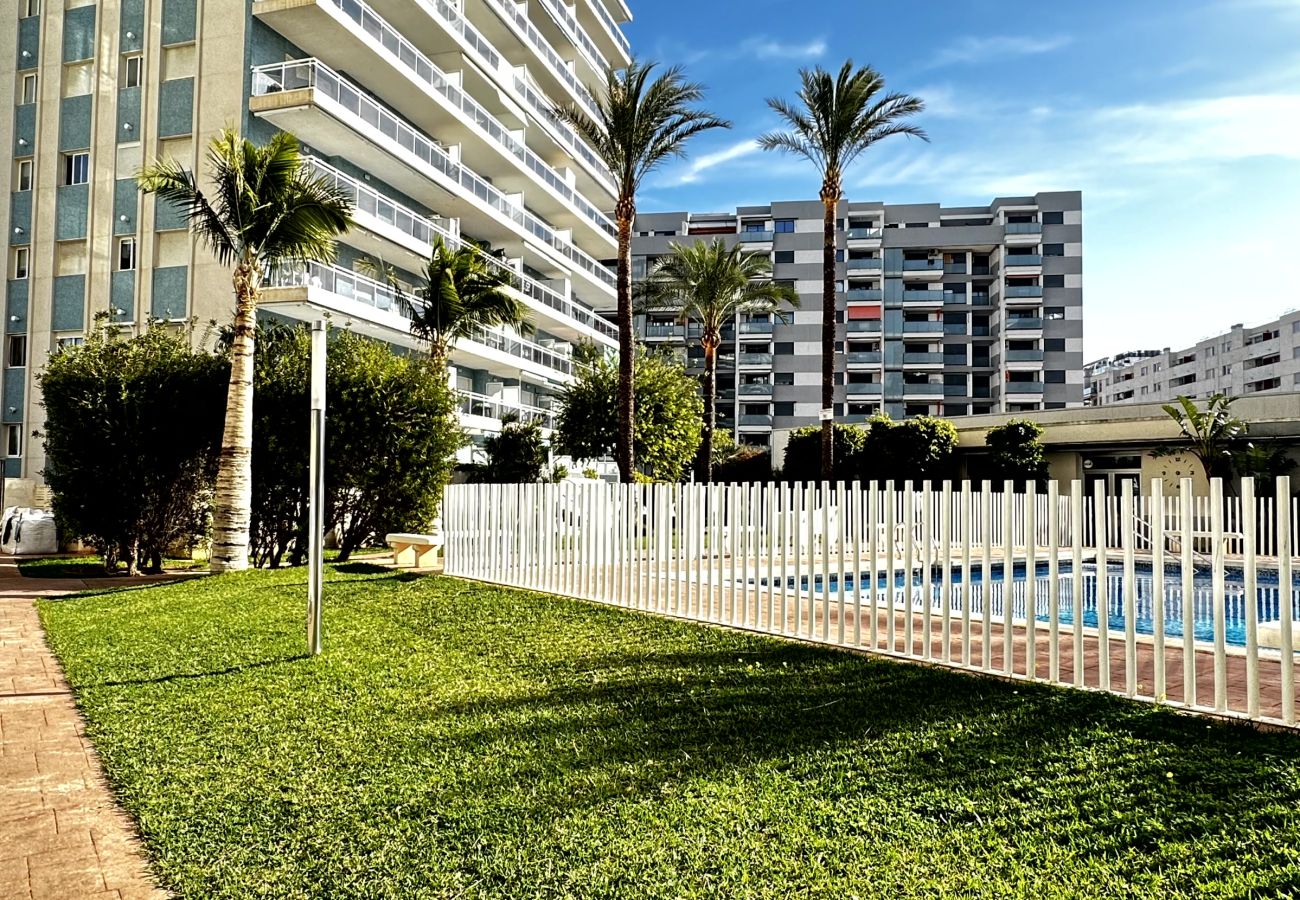 Apartamento en Gandia - ATHENEA Bl - C - 3ª - BAJO I