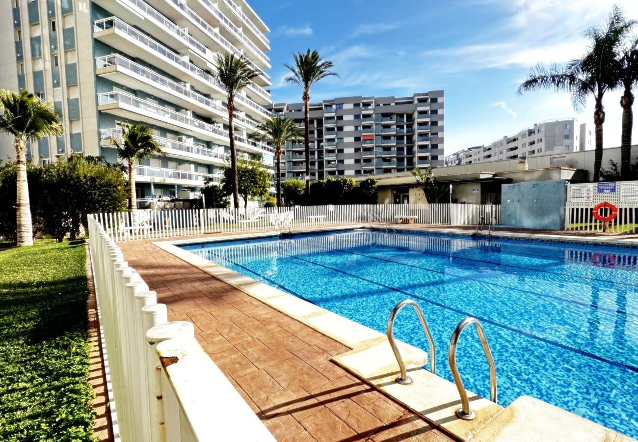 Apartamento en Gandia - ATHENEA Bl - C - 3ª - BAJO I