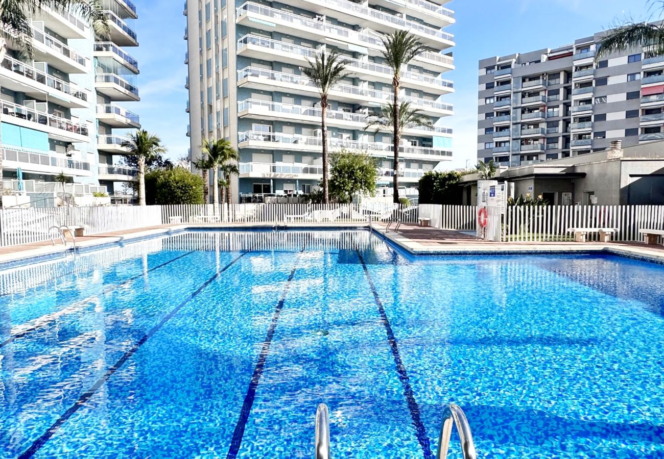 Apartamento en Gandia - ATHENEA Bl - C - 3ª - BAJO I