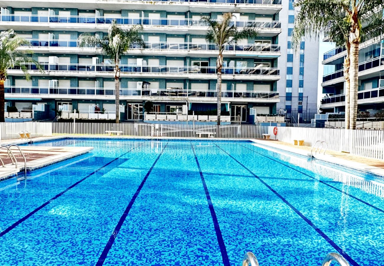 Apartamento en Gandia - ATHENEA Bl - C - 3ª - BAJO I