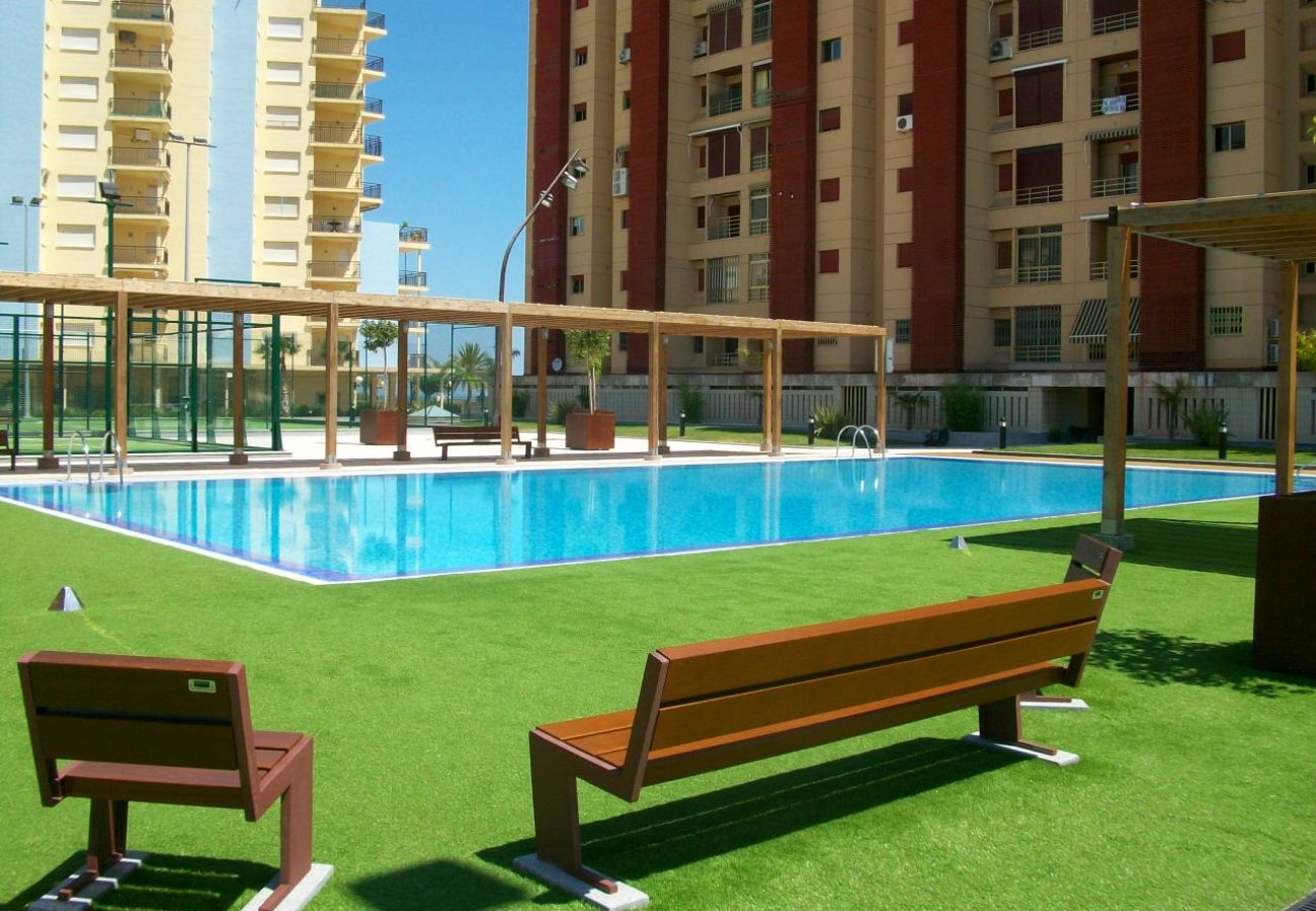 Apartamento en Gandia - BERMUDAS 4ª - 1º - G