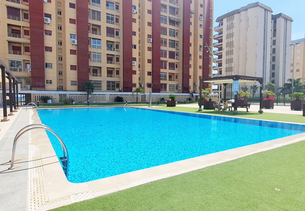 Apartamento en Gandia - BERMUDAS 5ª - 6º - I