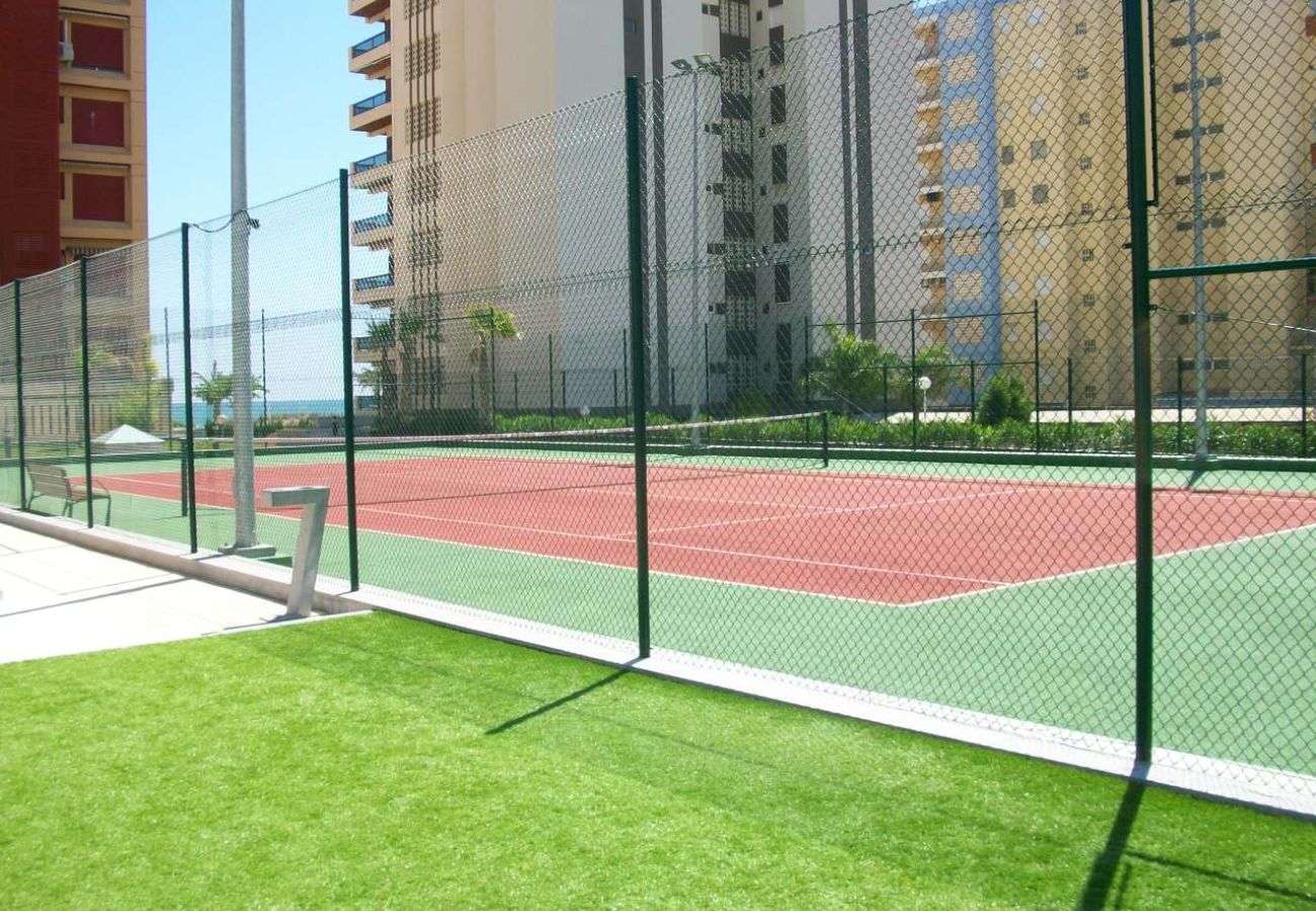 Apartamento en Gandia - BERMUDAS 5ª - 6º - I