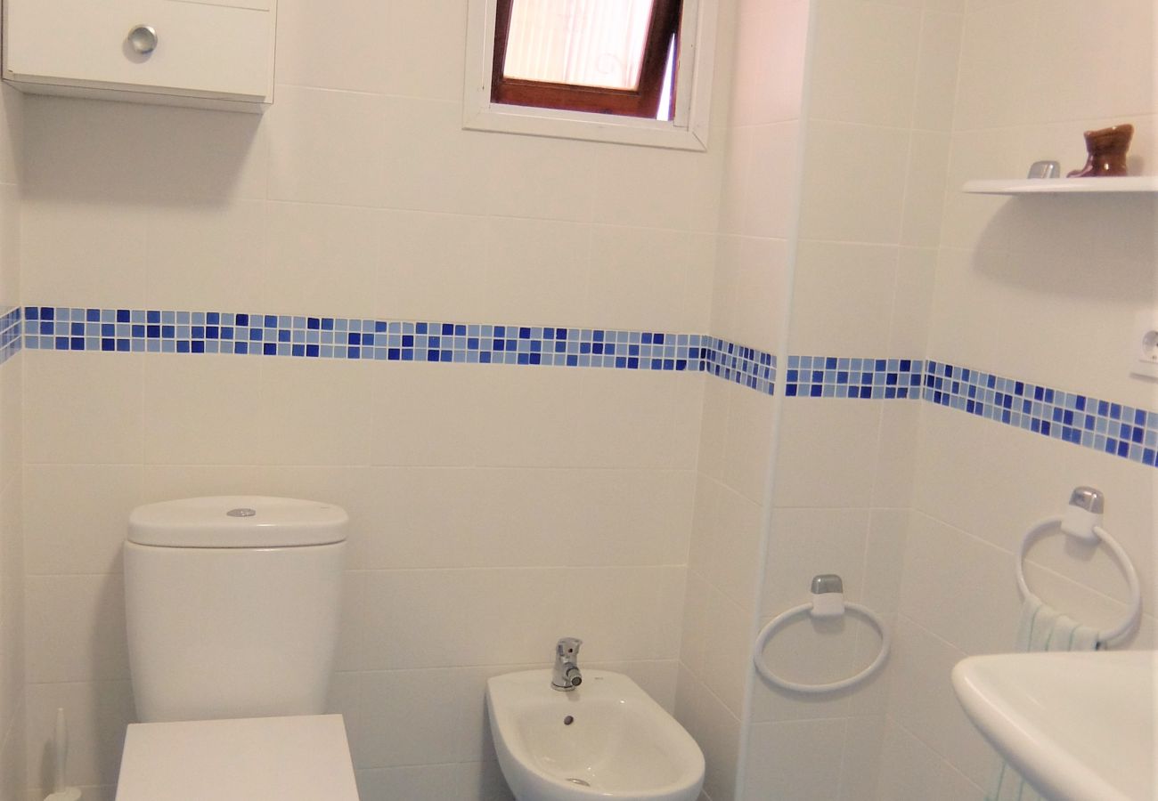Apartamento en Gandia - BONAIRE H - 1º