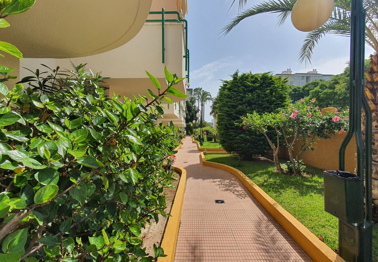 Apartamento en Gandia - CANCUN VII - 2ª - 1º - D