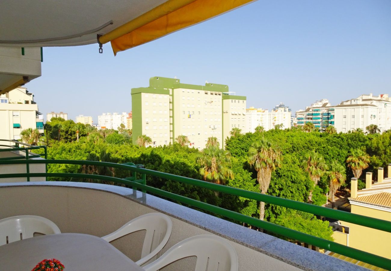 Apartamento en Gandia - CANCUN VII - 1ª - 6º - 11ª