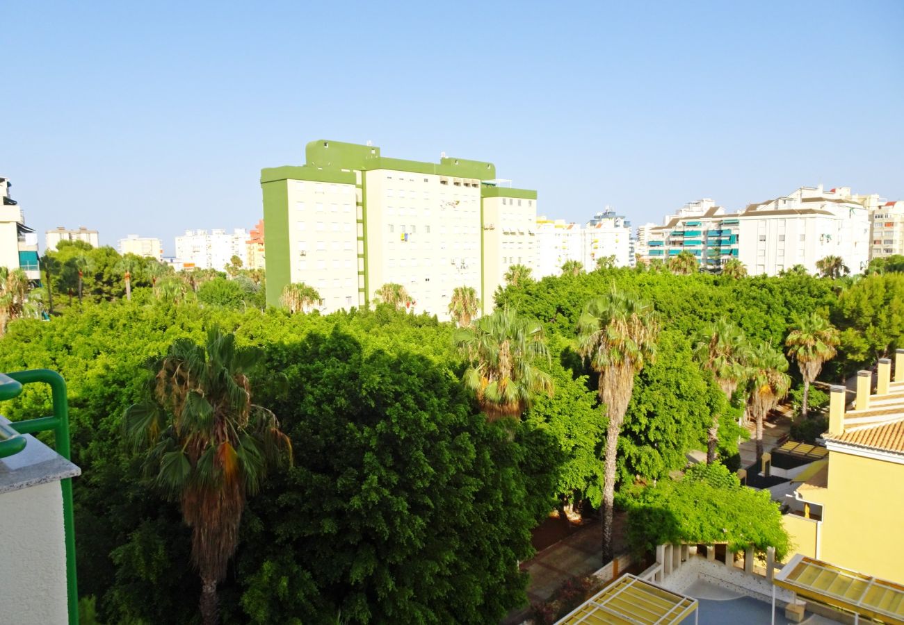 Apartamento en Gandia - CANCUN VII - 1ª - 6º - 11ª