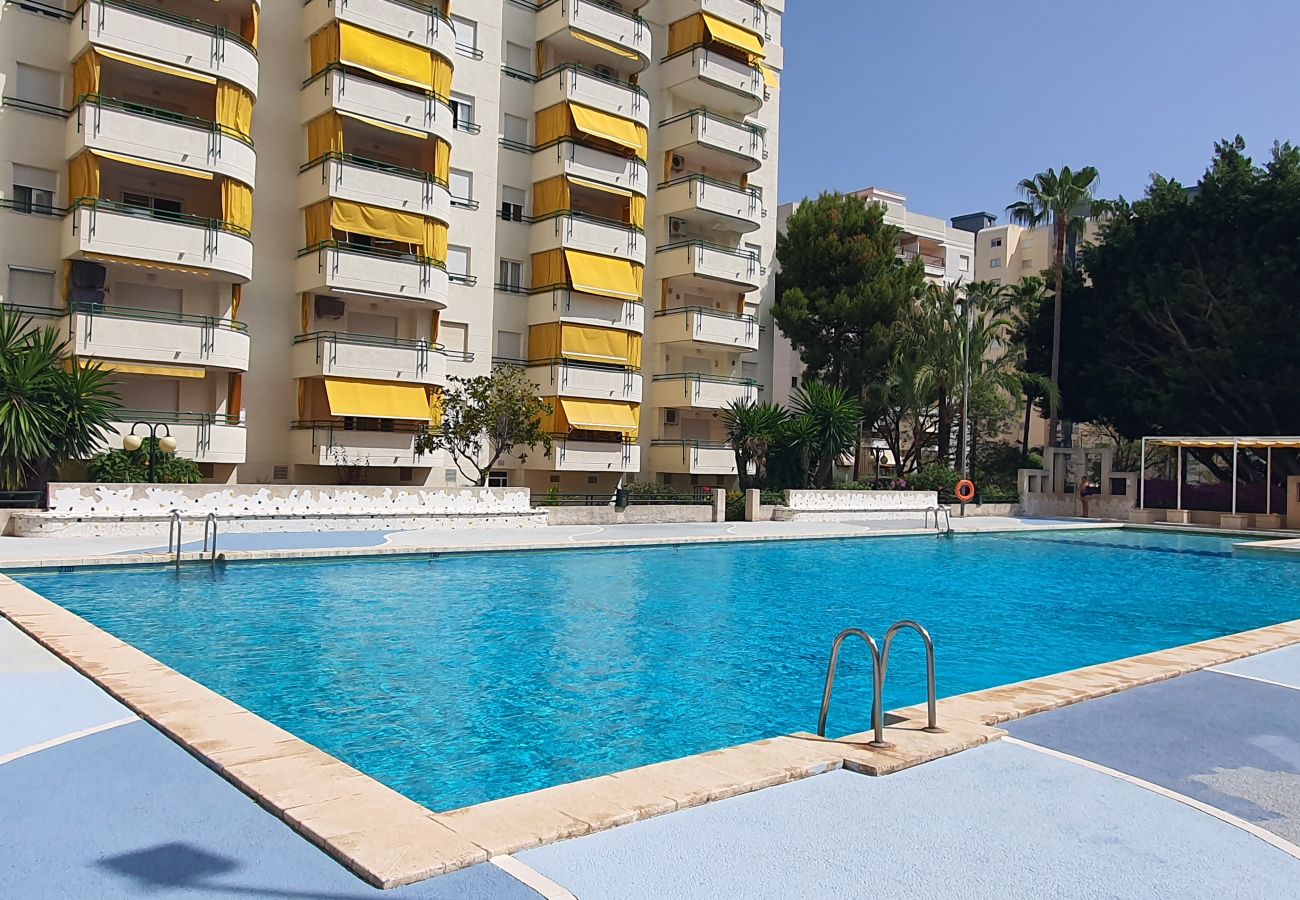 Apartamento en Gandia - CANCUN VII - 1ª - 6º - 11ª