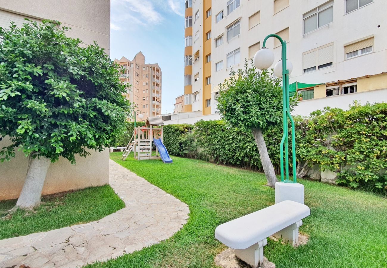 Apartamento en Gandia - CANCUN VI - 2ª - 2º - C