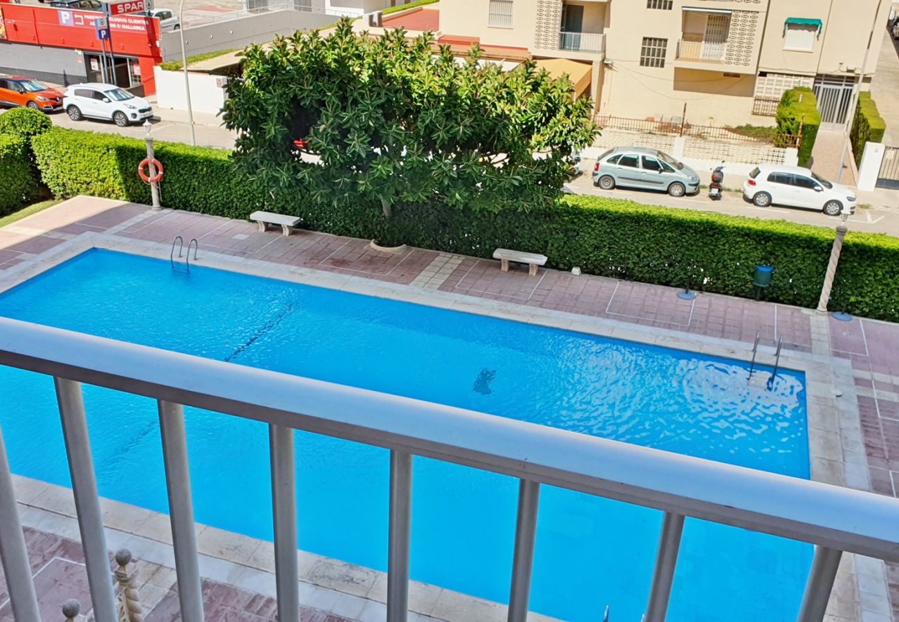 Apartamento en Gandia - CANTABRIA 3º - 36ª
