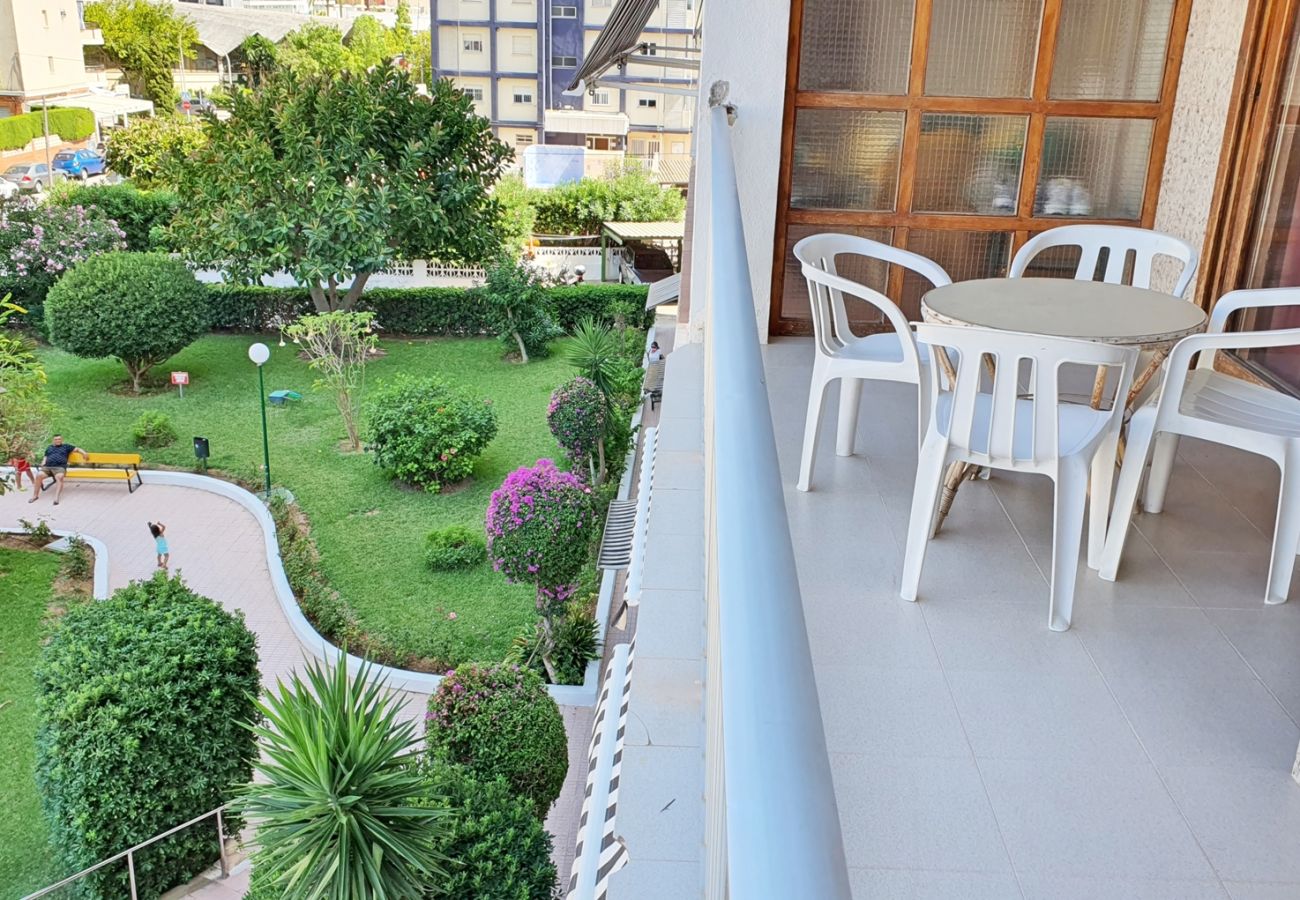 Apartamento en Gandia - CANTABRIA 3º - 36ª