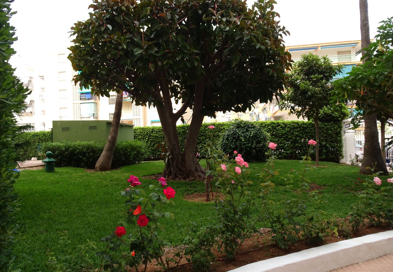 Apartamento en Gandia - CANTABRIA 3º - 36ª